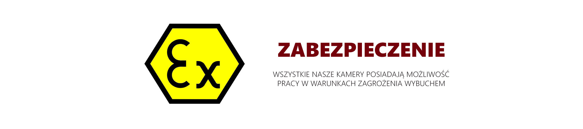 Zabezpieczenie EX